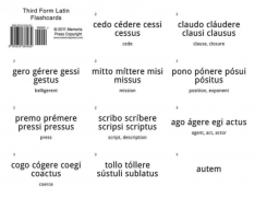 Third Form Latin Flashcards
